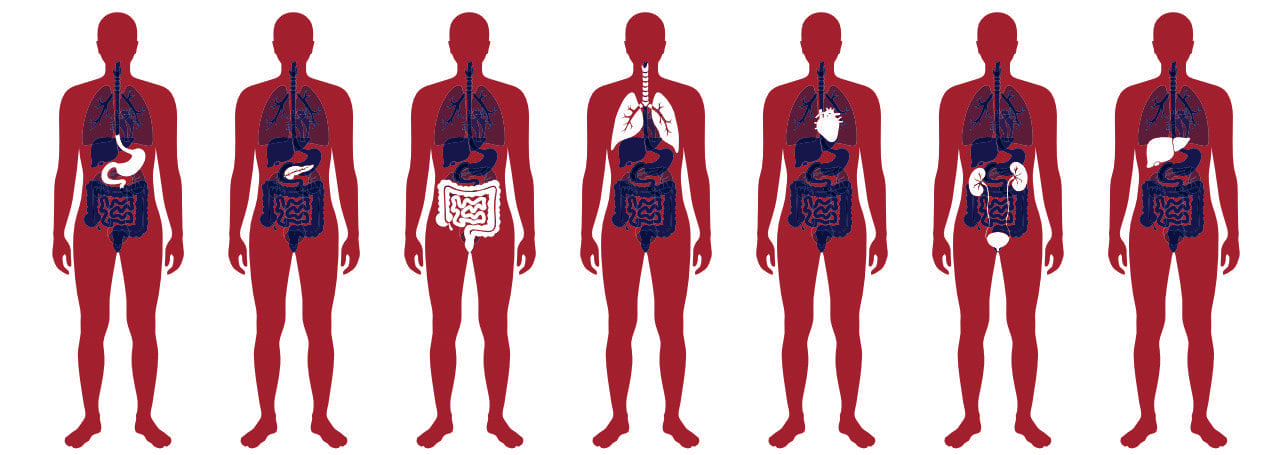 Der Körper beim Fasten Was passiert im Körper beim Fasten